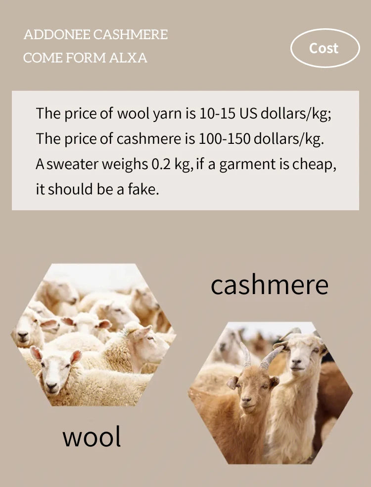 Regent Cashmere Turtleneck